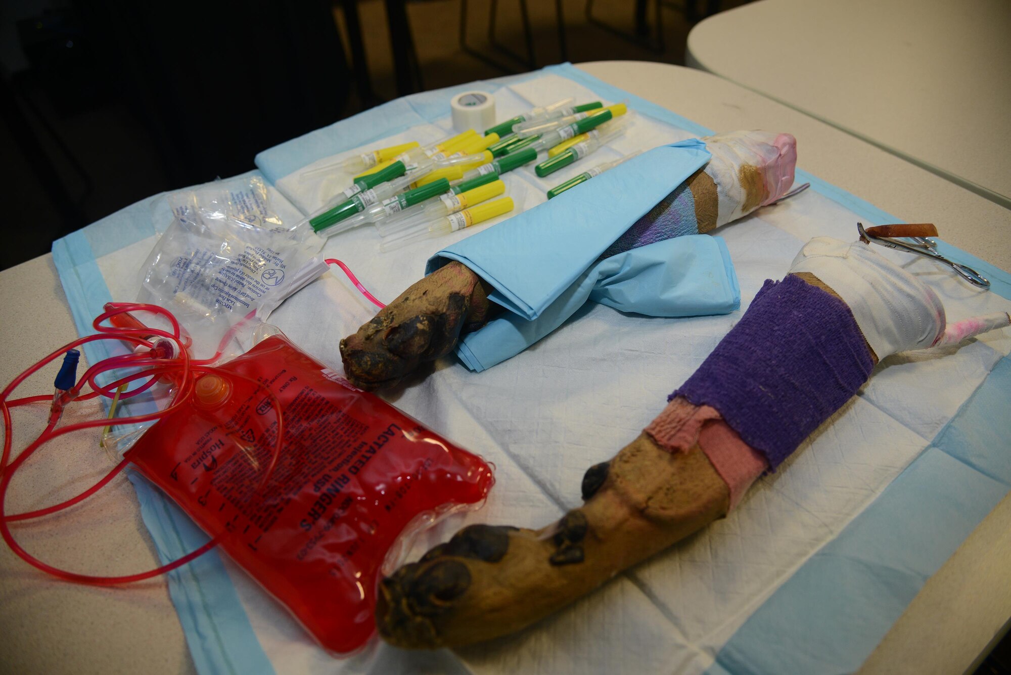 Fake dog legs lay on a table at Laughlin Air Force Base, Texas, March 9, 2016. The legs were used by the Army Veterinary Corps to teach Air Force and U.S. Customs and Border Protection dog handlers how to place an IV catheter in the leg of a working dog.  (U.S. Air Force photo by Airman 1st Class Brandon May)