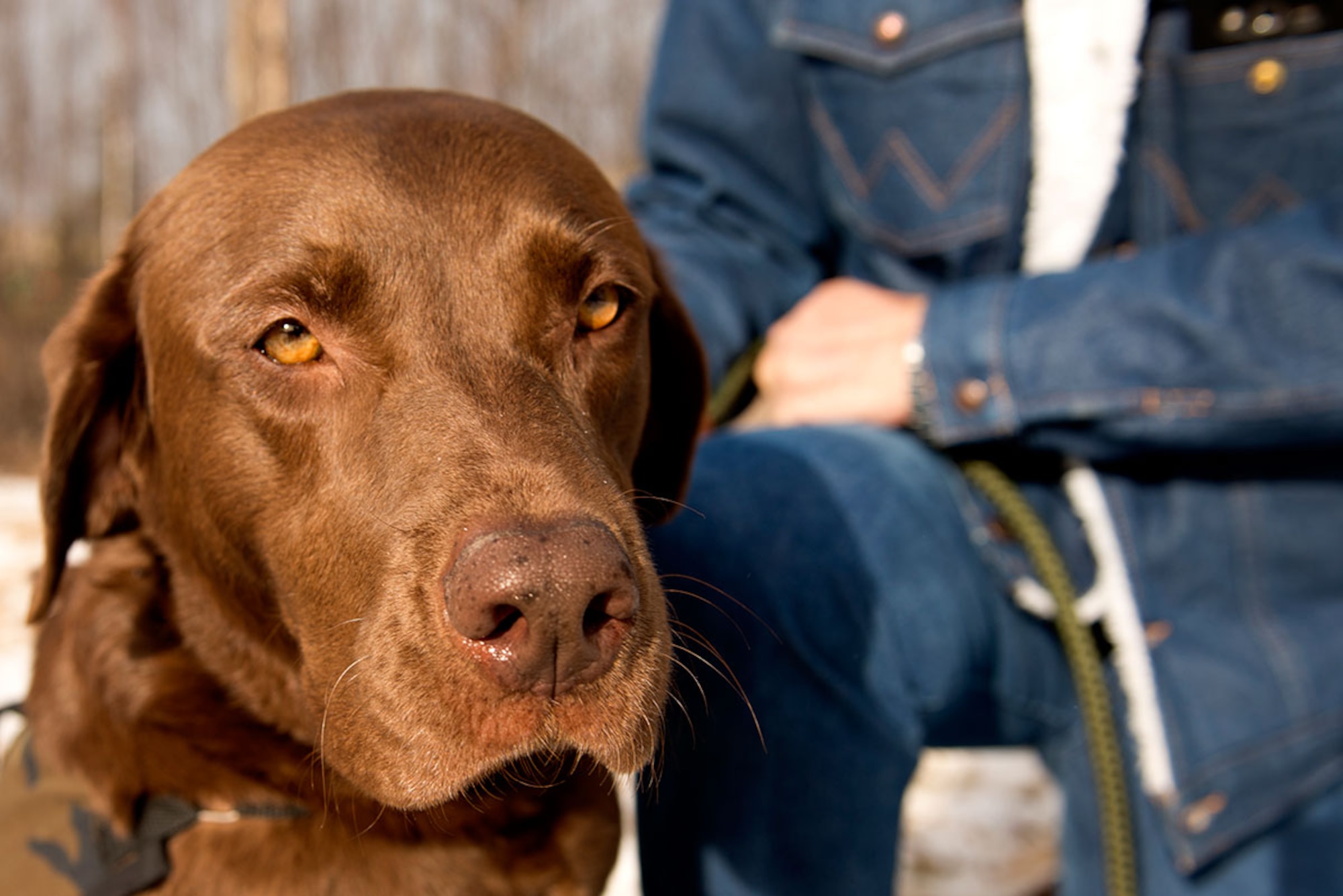 Ken Bylo, an Army veteran who served in Vietnam during the Tet Offensive, poses with his new service dog, Cowboy. Cowboy was given to him by a nonprofit organization after losing his previous service dog. (U.S. Air Force photo by Airman 1st Class Kyle Johnson)