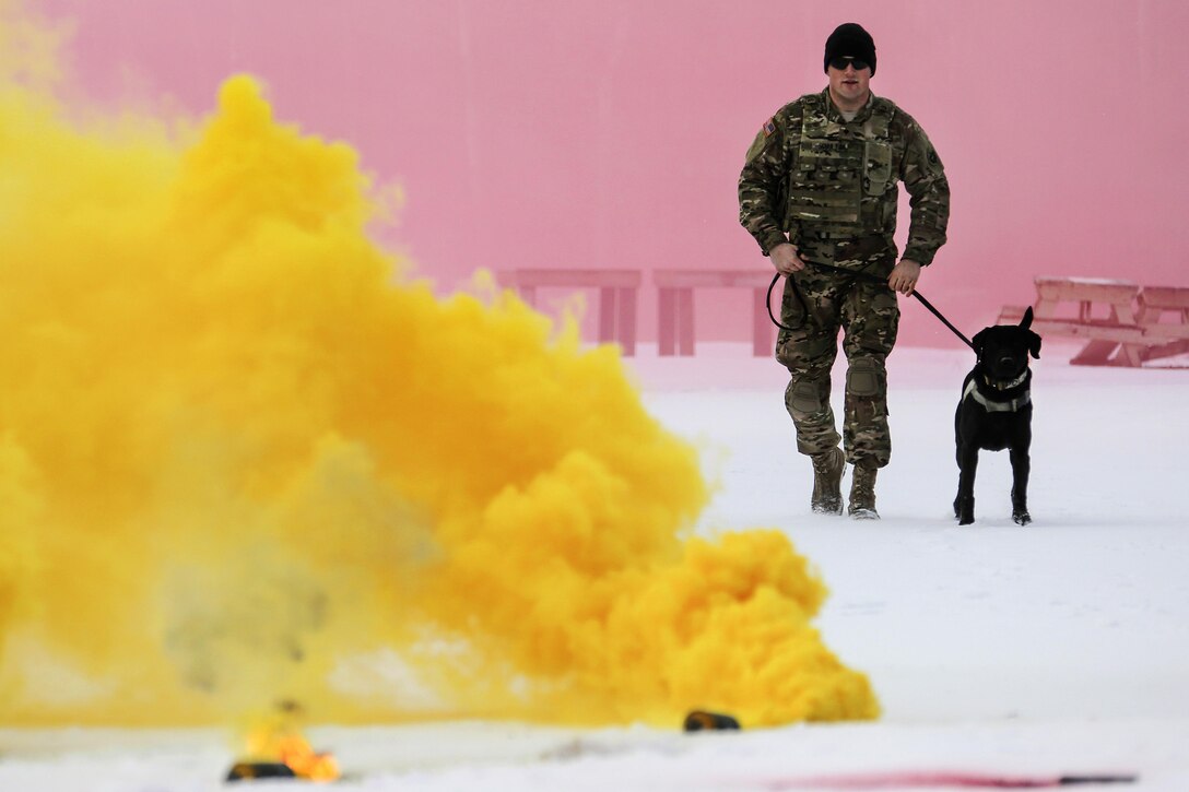 Army Spc. Jared Schultz and Teddy, his military working dog, participate in K-9 training at Joint Base Elmendorf-Richardson, Alaska, March 17, 2016. Air Force photo by Alejandro Pena 