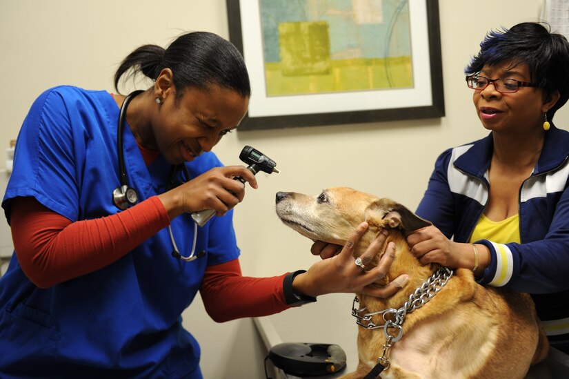 Dr. Nina Griffin, a veterinarian assigned to the Public Health Command-Fort Eustis Branch, checks Joy’s eyes during a physical exam at Langley Air Force Base, Va., March 18, 2016. The Langley Veterinary Clinic provides services for all Active duty Service members and their families, activated
Reservists and retired military veterans with a valid ID. 
(U.S. Air Force photo by Senior Airman Brittany E. N. Murphy)
