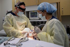 U.S. Air Force Lt. Col Marshall Humes and Tech. Sgt. Allyson Winston, oral and maxillofacial surgeon and technician, assigned to the 633rd Medical Group, prepare to remove a patient’s wisdom teeth during oral surgery at Langley Air Force Base, Va., March 17, 2016. Specializing in the face, jaw and mouth, Humes can provide services that would typically send Service members to an off-base provider for surgeries. (U.S. Air Force photo by Airman 1st Class Kaylee Dubois)
