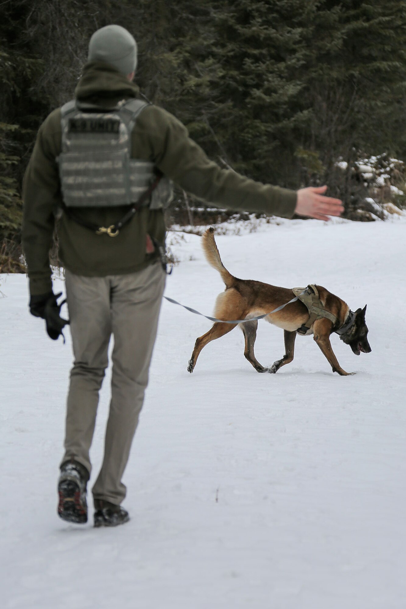 U.S. Air Force Staff Sgt. Joe Burns and military working dog, Ciko, assigned to the 673d Security Forces Squadron, practice searching for simulated hidden explosives while conducting K-9 training at Joint Base Elmendorf-Richardson, Alaska, March 17, 2016. Military working dog teams are trained to respond to various law enforcement emergencies as well as detect hidden narcotics and explosives. (U.S. Air Force photo/Alejandro Peña)
