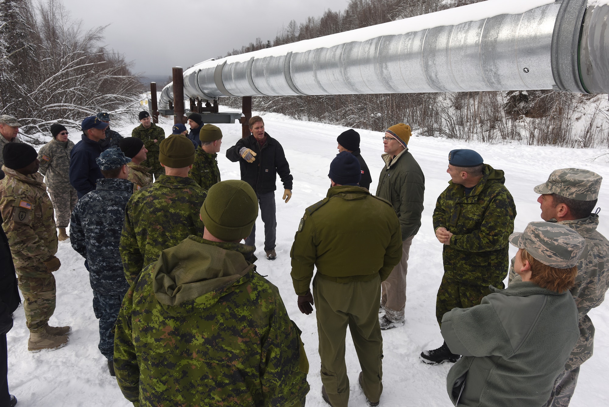 Dr. Kevin Bjella (middle), U.S. Army Cold Regions Research and Engineering Laboratory, addresses attendees of the General Officer/Flag Officer summit outside of Fairbanks, Alaska, March 16. Dr. Bjella was showing attendees an example of Permafrost thawing impact and how it has transformed the Trans Alaska Pipeline System infrastructure. The purpose of the annual GO/FO is to strengthen partnerships of senior military officers and enlisted leaders, joint and bi-national, as well as discuss current and future Arctic and Alaskan challenges and joint capabilities. (U.S. Air Force photo/Tech. Sgt. John Gordinier)