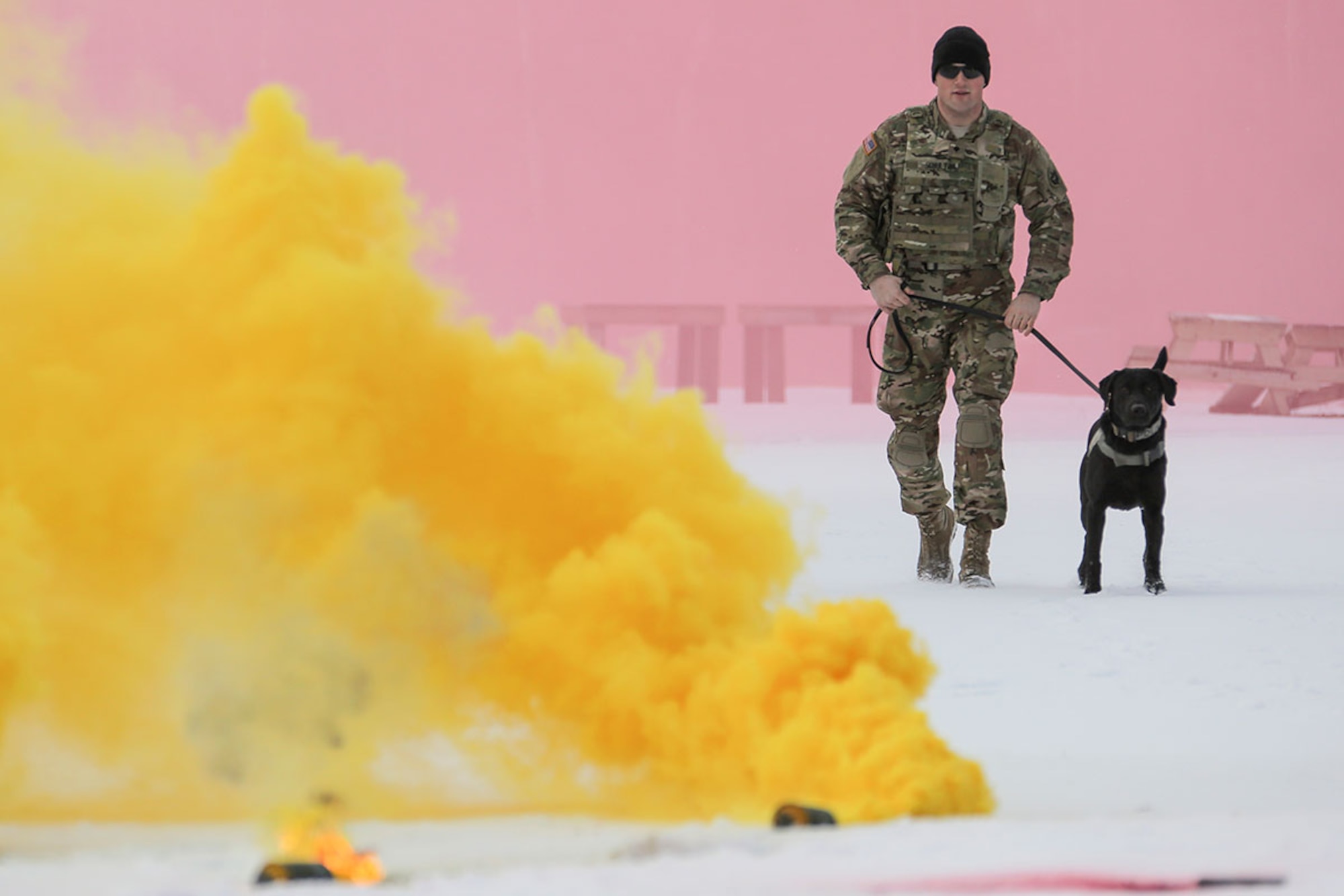 U.S. Army Spc. Jared Schultz and military working dog, Teddy, assigned to the 549th Military Working Dog Detachment, conduct K-9 training at Joint Base Elmendorf-Richardson, Alaska, March 17, 2016. The Army military working dog handlers conducted the K-9 training with their Air Force counterparts, assigned to the 673d Security Forces Squadron, to keep their teams flexible to respond to law enforcement emergencies and for overseas deployments. (U.S. Air Force photo/Alejandro Peña)
