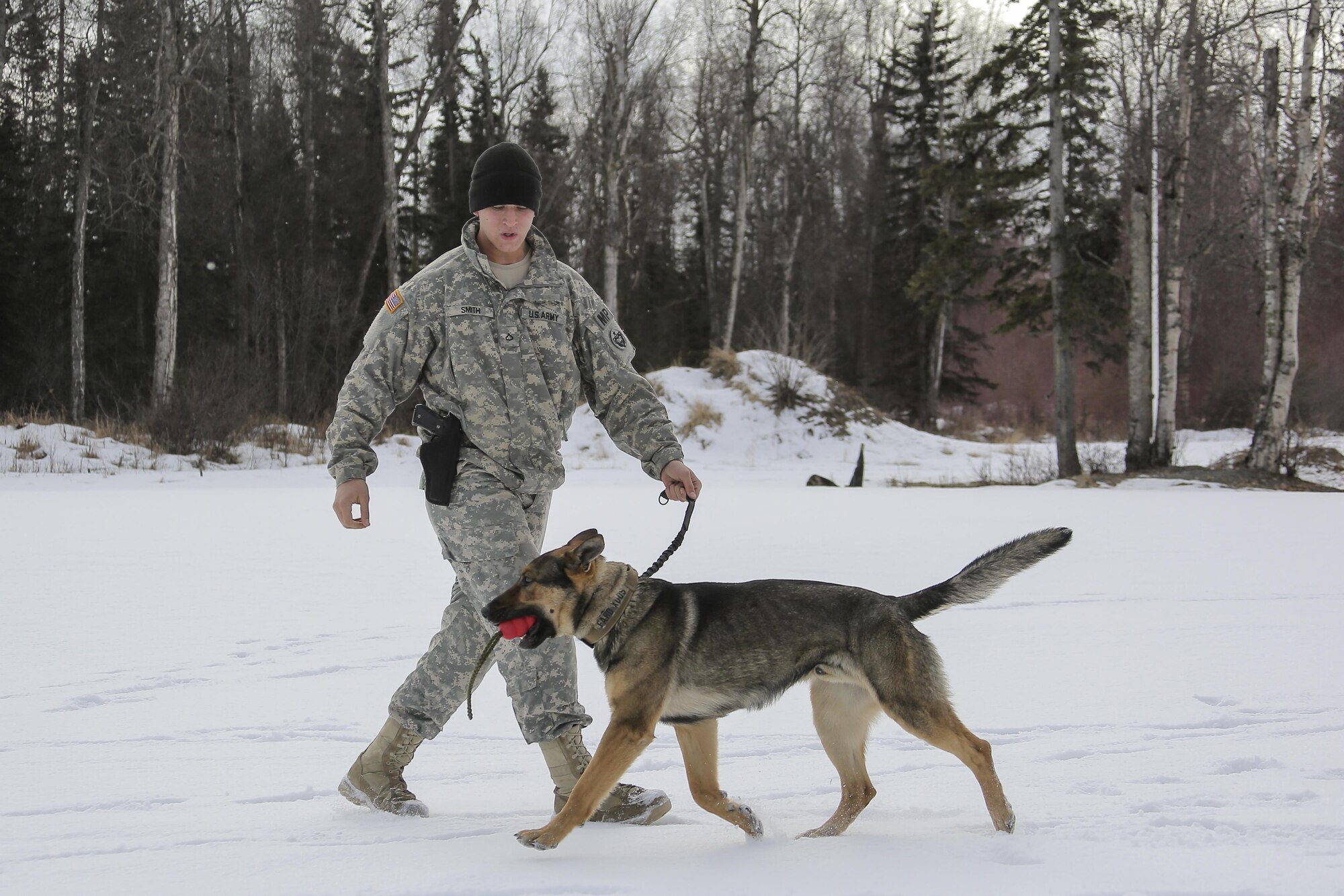 U.S. Army Pfc. Ian Smith and military working dog, Faro, assigned to the 549th Military Working Dog Detachment, conduct K-9 training at Joint Base Elmendorf-Richardson, Alaska, March 17, 2016. The Army military working dog handlers conducted the K-9 training with their Air Force counterparts, assigned to the 673rd Security Forces Squadron, to keep their teams flexible to respond to law enforcement emergencies, and for overseas deployments. (U.S. Air Force photo/Alejandro Pena)