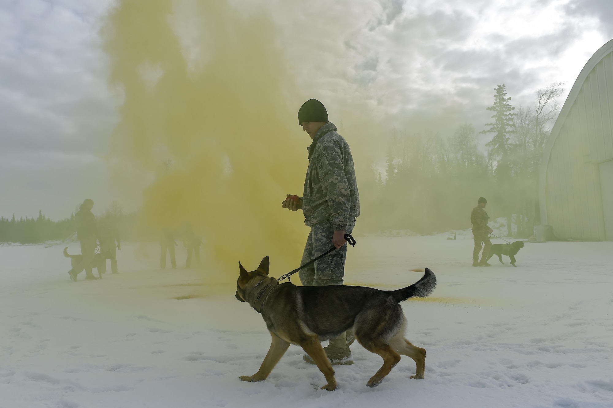 U.S. Army and Air Force military working dog teams assigned to the 549th Military Working Dog Detachment and the 673rd Security Forces Squadron, respectively, conduct K-9 training at Joint Base Elmendorf-Richardson, Alaska, March 17, 2016. The purpose of the K-9 training was to adapt the dogs to possible real-world conditions they might encounter as well as practice detecting possible hidden explosives. (U.S. Air Force photo/Alejandro Pena)