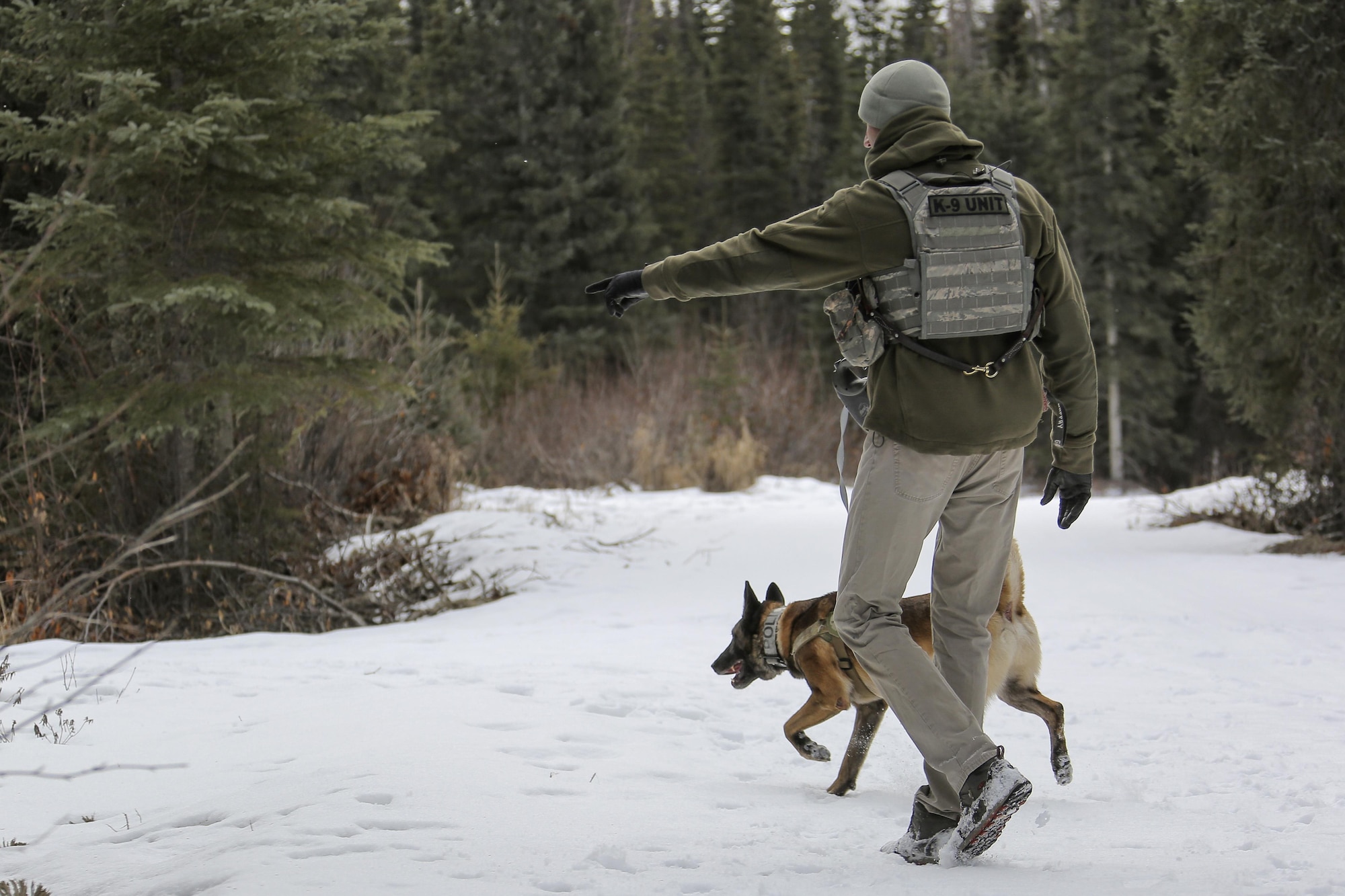 U.S. Air Force Staff Sgt. Joe Burns and military working dog, Ciko, assigned to the 673rd Security Forces Squadron, practice searching for simulated hidden explosives while conducting K-9 training at Joint Base Elmendorf-Richardson, Alaska, March 17, 2016. Military working dog teams are trained to respond to various law enforcement emergencies as well as detect hidden narcotics and explosives. (U.S. Air Force photo/Alejandro Pena)