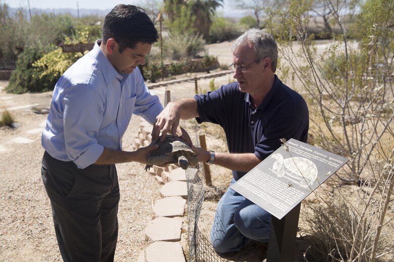 Brian Henen, ecologist, Natural Resources and Environmental Affairs, shows Congressman Raul Ruiz how to determine the age of a desert tortoise during his visit to the Combat Center, March 18, 2016. (Official Marine Corps photo by Cpl. Medina Ayala-Lo/Released)