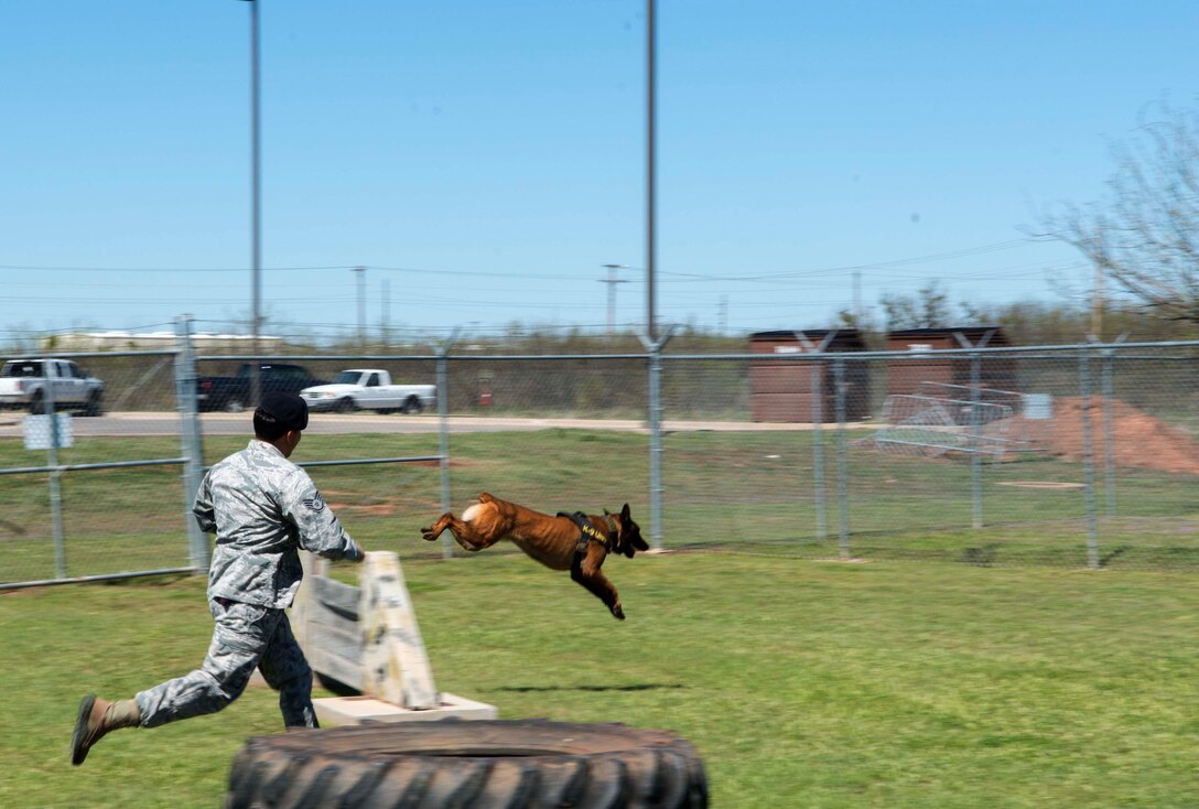U.S. Air Force Staff Sgt. Jerry Quintanilla, 7th Security Forces Squadron military working dog handler, runs his dog, Ppirro, through an obstacle course, March 24, 2016, at Dyess Air Force Base, Texas. Military working dog handlers train on a daily basis to ensure they are prepared for real-world scenarios. 7th SFS provides multiple MWD teams to support missions to help secure the president of the United States and the United Nations General Assembly. (U.S. Air Force photo by Airman 1st Class Austin Mayfield/Released)
