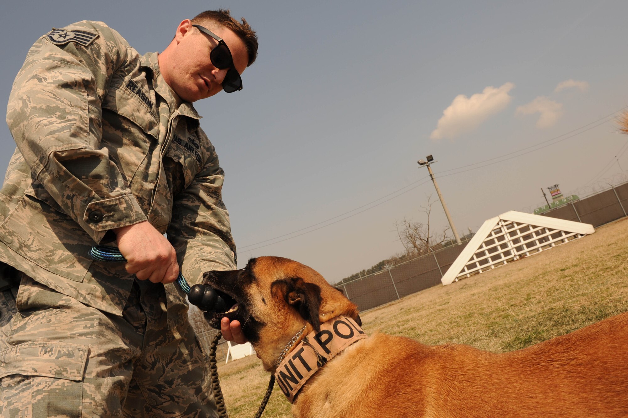U.S. Air Force Staff Sgt. Aaron Reason, 8th Security Forces Squadron military working dog handler, grabs a chew toy out of Oovey’s mouth, his assigned MWD at Kunsan Air Base, Republic of Korea, Mar. 25, 2016. At Kunsan, handlers are only afforded about 10-11 months with MWD’s due to in and out processing so dogs go through handlers regularly. (U.S. Air Force photo by Senior Airman Ashley L. Gardner/Released)