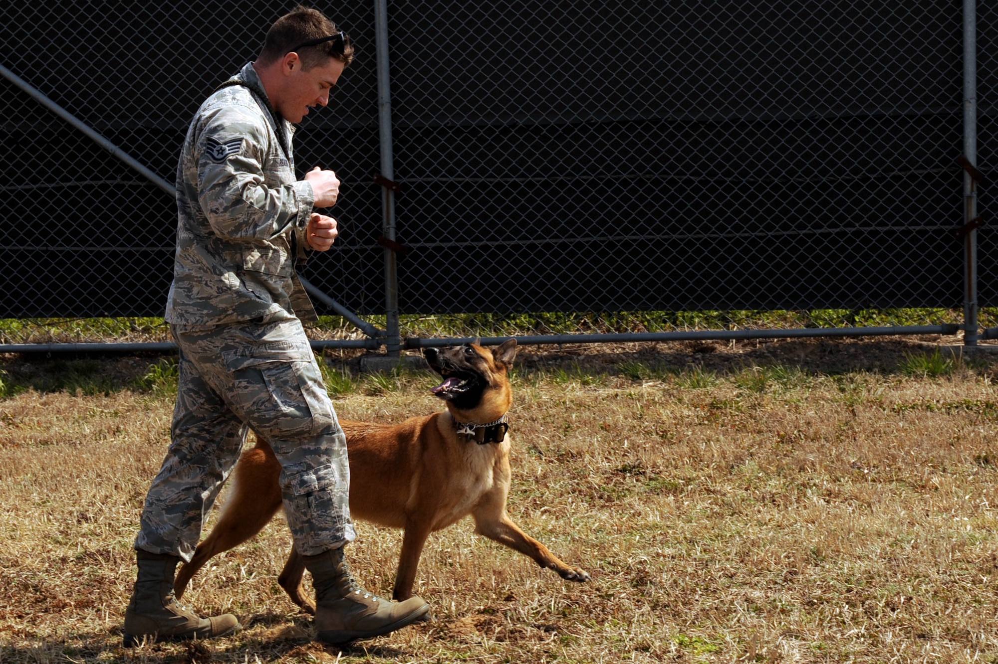 U.S. Air Force Staff Sgt. Aaron Reason, 8th Security Forces Squadron military working dog handler, takes a walk with Oovey, his assigned MWD while going through an obstacle course at Kunsan Air Base, Republic of Korea, Mar. 25, 2016. Kunsan has a total of 21 military working dogs here in the kennel. (U.S. Air Force photo by Senior Airman Ashley L. Gardner/Released)

