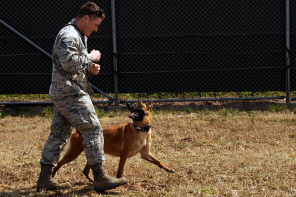 U.S. Air Force Staff Sgt. Aaron Reason, 8th Security Forces Squadron military working dog handler, takes a walk with Oovey, his assigned MWD while going through an obstacle course at Kunsan Air Base, Republic of Korea, Mar. 25, 2016. Kunsan has a total of 21 military working dogs here in the kennel. (U.S. Air Force photo by Senior Airman Ashley L. Gardner/Released)

