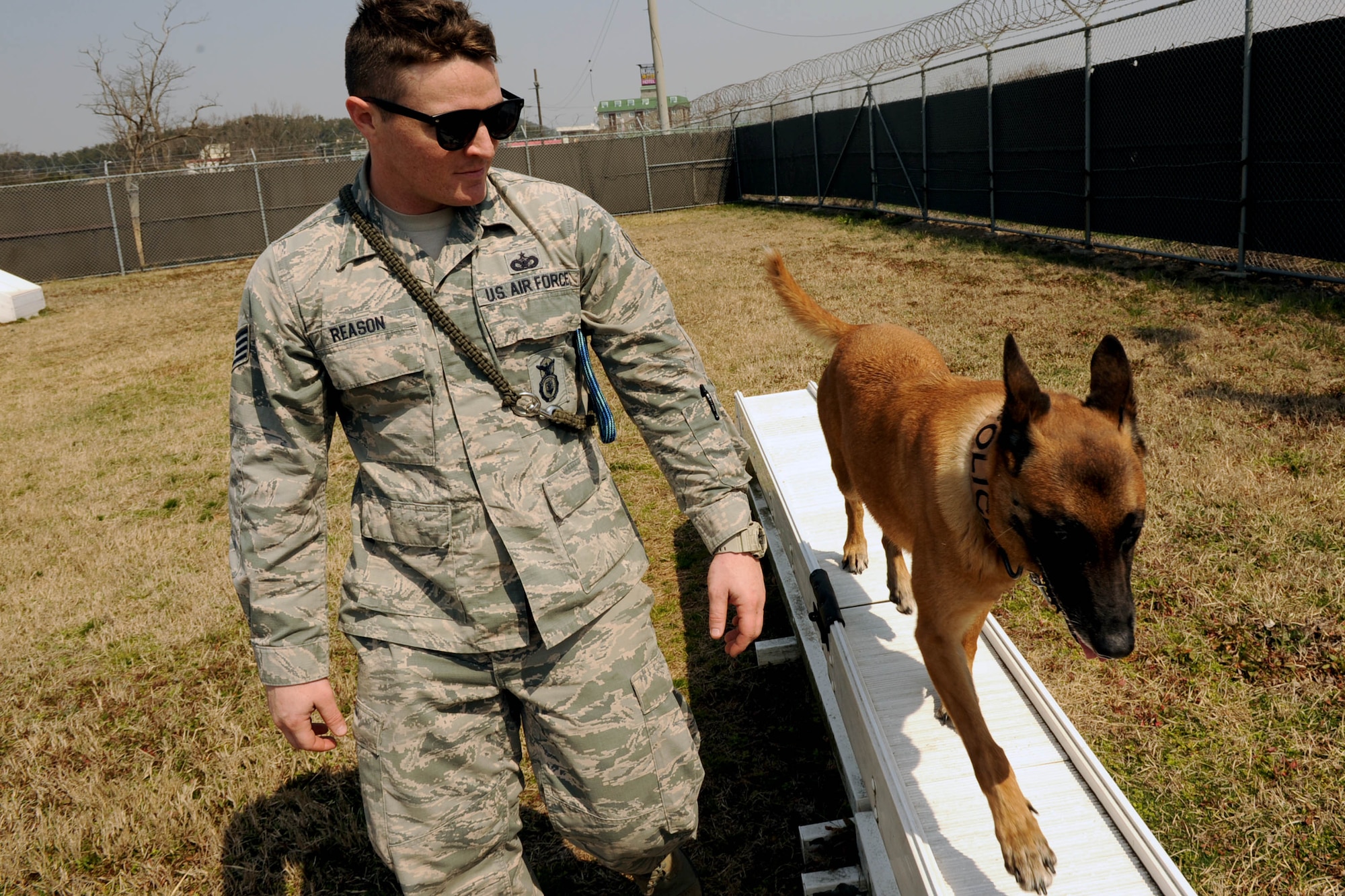 U.S. Air Force Staff Sgt. Aaron Reason, 8th Security Forces Squadron military working dog handler watches Oovey, his assigned MWD, as he goes through an obstacle at Kunsan Air Base, Republic of Korea, Mar. 25, 2016. At Kunsan, handlers are only afforded about 10-11 months with MWD’s due to in and out processing so dogs go through handlers regularly.  (U.S. Air Force photo by Senior Airman Ashley L. Gardner/Released)