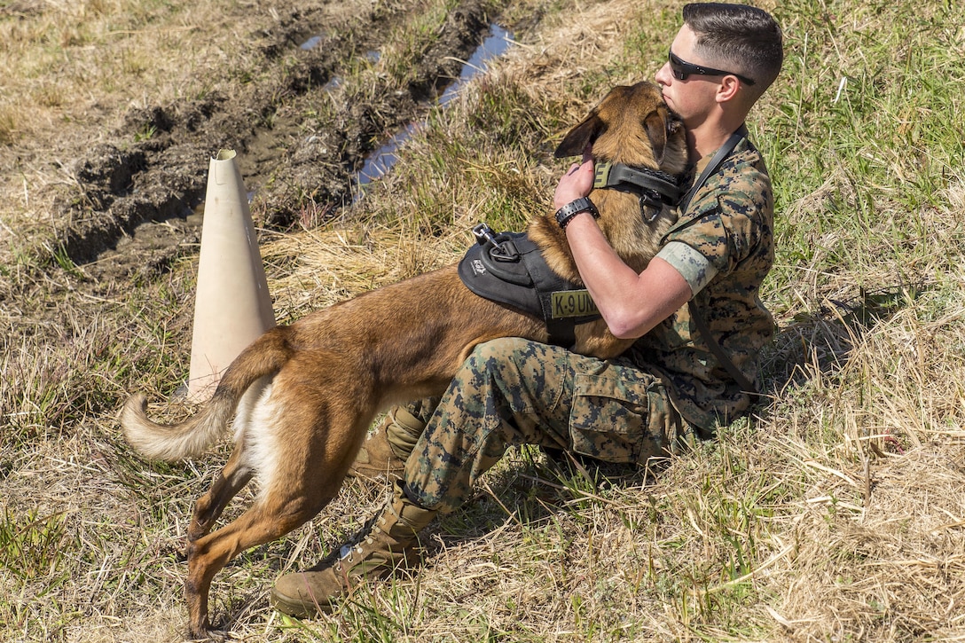 Lance Cpl. Landon Gilliam, Provost Marshal’s Office military working dog handler with Headquarters and Headquarters Squadron, embraces his K-9 during joint training held at Marine Corps Air Station Iwakuni, Japan, March 22, 2016. Trained in a variety of areas such as locating explosives and narcotics and conducting patrols, handlers and their military working dogs train regularly in order to maintain operational readiness, become a more effective team and ensure the safety of station residents. U.S. and Japanese handlers escorted their K-9’s to locate explosives hidden throughout the station’s landfill and harbor areas. (U.S. Marine Corps photo by Lance Cpl. Aaron Henson/Released) 