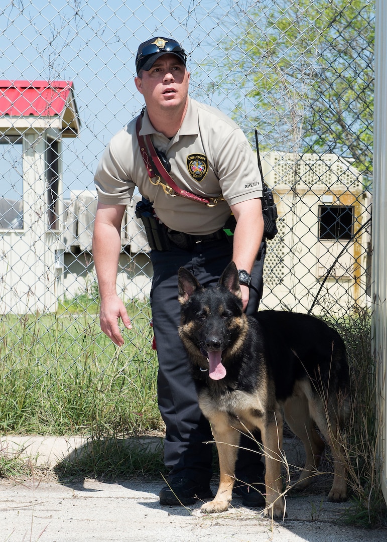 local k9 training