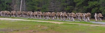 U.S. Marines with Bravo Company, 1st Battalion, 23rd Marine Regiment, 4th Marine Division, carry equipment to a staging site during a patrol exercise at Barksdale Air Force Base, La., March 18, 2016. The Marines carried rucksacks with over 70 pounds of equipment to and from the exercise site. The rucksacks included sleeping bags, rain gear, food and other items. (U.S. Air Force photo/Senior Airman Mozer O. Da Cunha)