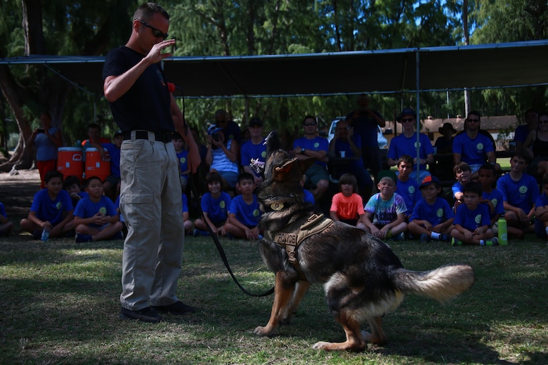 MARINE CORPS TRAINING AREA BELLOWS – Police Officer Kristopher Evers, a military working dog handler for the Provost Marshal’s Office Military Working Dogs Unit with Headquarters Battalion from Marine Corps Base Hawaii, commands his military working dog Diego during a demonstration for Cub Scout Troop 311, aboard Marine Corps Training Area Bellows, March 5, 2016. Marines and civilian officers gave different commands to their dogs, showing off their intelligence and obedience. The dog handlers also wore a bite jacket for a mock take down by the dogs to show the scouts the discipline and training the dogs show when facing a real threat. Evers, a Denver, Colo., native, said they train with the dogs so much and spend a lot of time taking care of them that they are a part his family. (U.S. Marine Corps Photo by Lance Cpl. Jesus Sepulveda Torres)