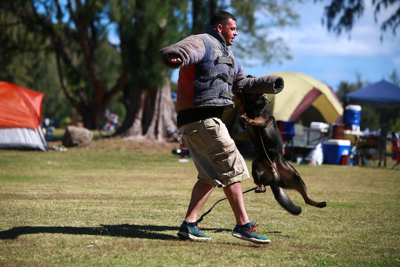 MARINE CORPS TRAINING AREA BELLOWS – Police Officer Travis Cleaveland, a military working dog handler for the Provost Marshal’s Office Military Working Dogs Unit with Headquarters Battalion from Marine Corps Base Hawaii, demonstrates a mock takedown with Nero, one of the military police dogs there for Cub Scout troop 311 aboard Marine Corps Training Area Bellows, March 5, 2016. Marines and civilian officers gave different commands to their dogs, showing off their intelligence and obedience. The dog handlers also wore a bite jacket for a mock take down by the dogs to show the scouts the discipline and training the dogs show when facing a real threat. Cleaveland, a St. Cloud, Minn., native, said his military working dogs are constantly training and ready on command to stop any threat. (U.S. Marine Corps Photo by Lance Cpl. Jesus Sepulveda Torres)