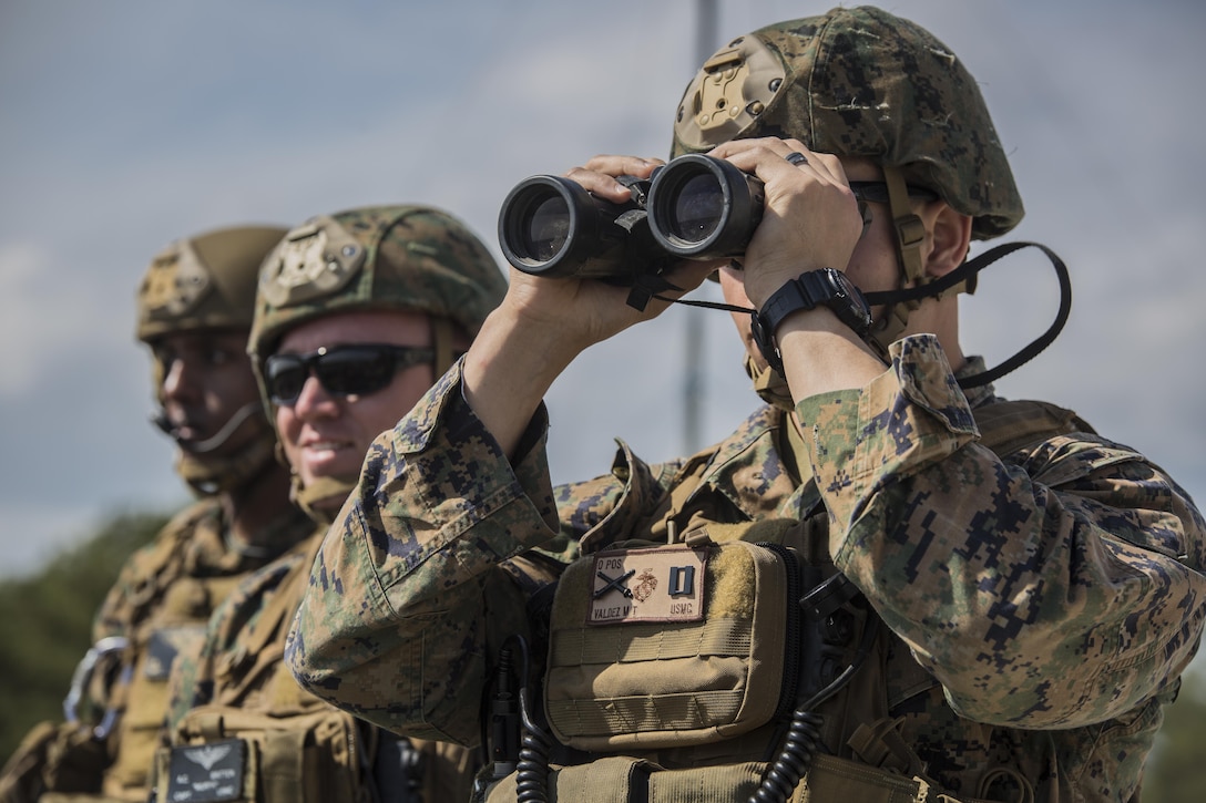 U.S. Marines with 2nd Air Naval Gunfire Liaison Company oversee a joint tactical air control operation at  Camp Lejeune, N.C., March 25, 2016. The training enhanced interoperability between the U.S., French, British, and Dutch forces, while the U.S. Marines provided fire and aviation support.  (U.S. Marine Corps photo by Lance Cpl. Erick Galera/Released)