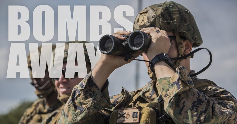 U.S. Marines with 2nd Air Naval Gunfire Liaison Company oversee a joint tactical air control operation at  Camp Lejeune, N.C., March 25, 2016. The training enhanced interoperability between the U.S., French, British, and Dutch forces, while the U.S. Marines provided fire and aviation support.  (U.S. Marine Corps photo illustration by Lance Cpl. Erick Galera/Released)