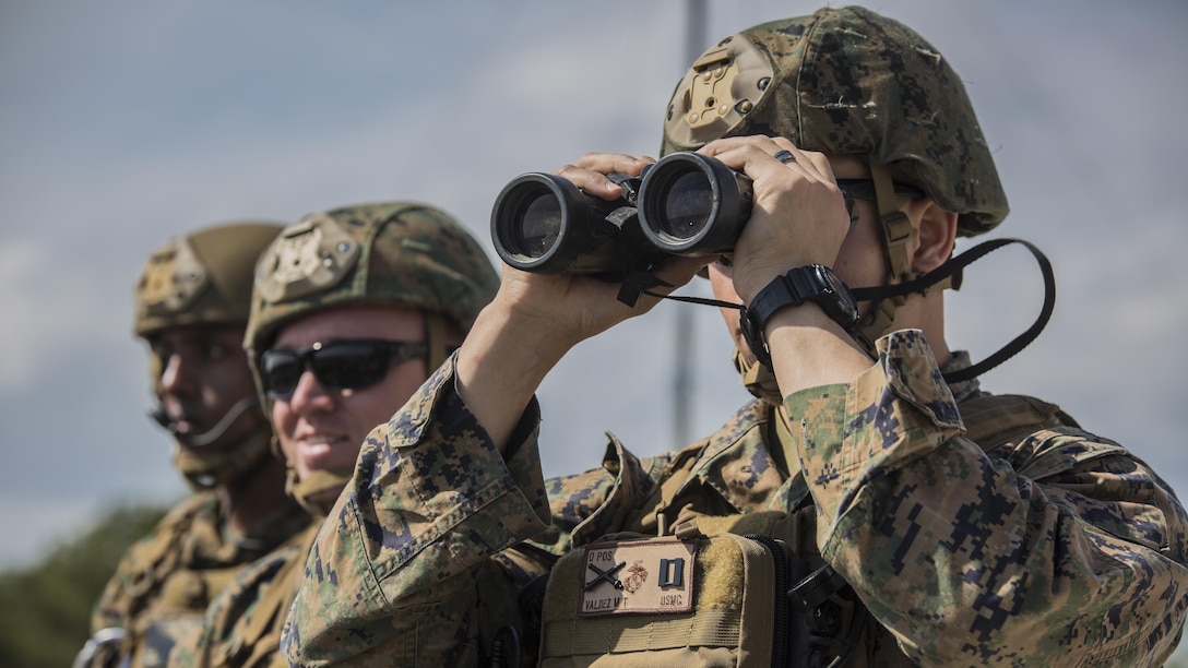 U.S. Marines with 2nd Air Naval Gunfire Liaison Company oversee a joint tactical air control operation at Marine Corps Base Camp Lejeune, North Carolina, March 25, 2016. The training enhanced interoperability between the U.S., French, British, and Dutch forces, while the U.S. Marines provided fire and aviation support. 