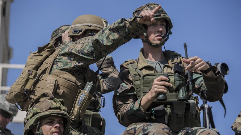 U.S. Marines with 2nd Air Naval Gunfire Liaison Company and Dutch Marines with 25 Reconnaissance Surveillance oversee a joint tactical air control operation at Observation Post 2 in Marine Corps Base Camp Lejeune, North Carolina, March 25, 2016. The training enhanced interoperability between the U.S., French, British, and Dutch forces, while the U.S. Marines provided fire and aviation support. 