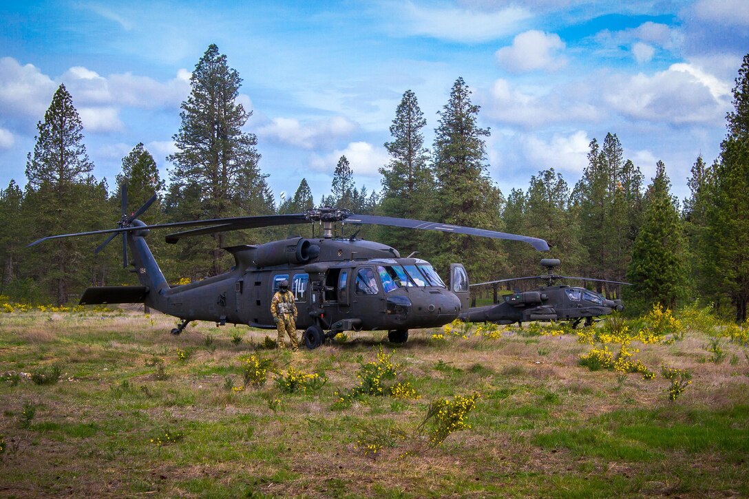 An Army UH-60 Black Hawk, foreground, and an AH-64 Apache helicopter wait for follow-on orders to provide support during air assault training with soldiers at Joint Base Lewis-McChord, Wash., April 27, 2016. Army photo by Capt. Brian Harris