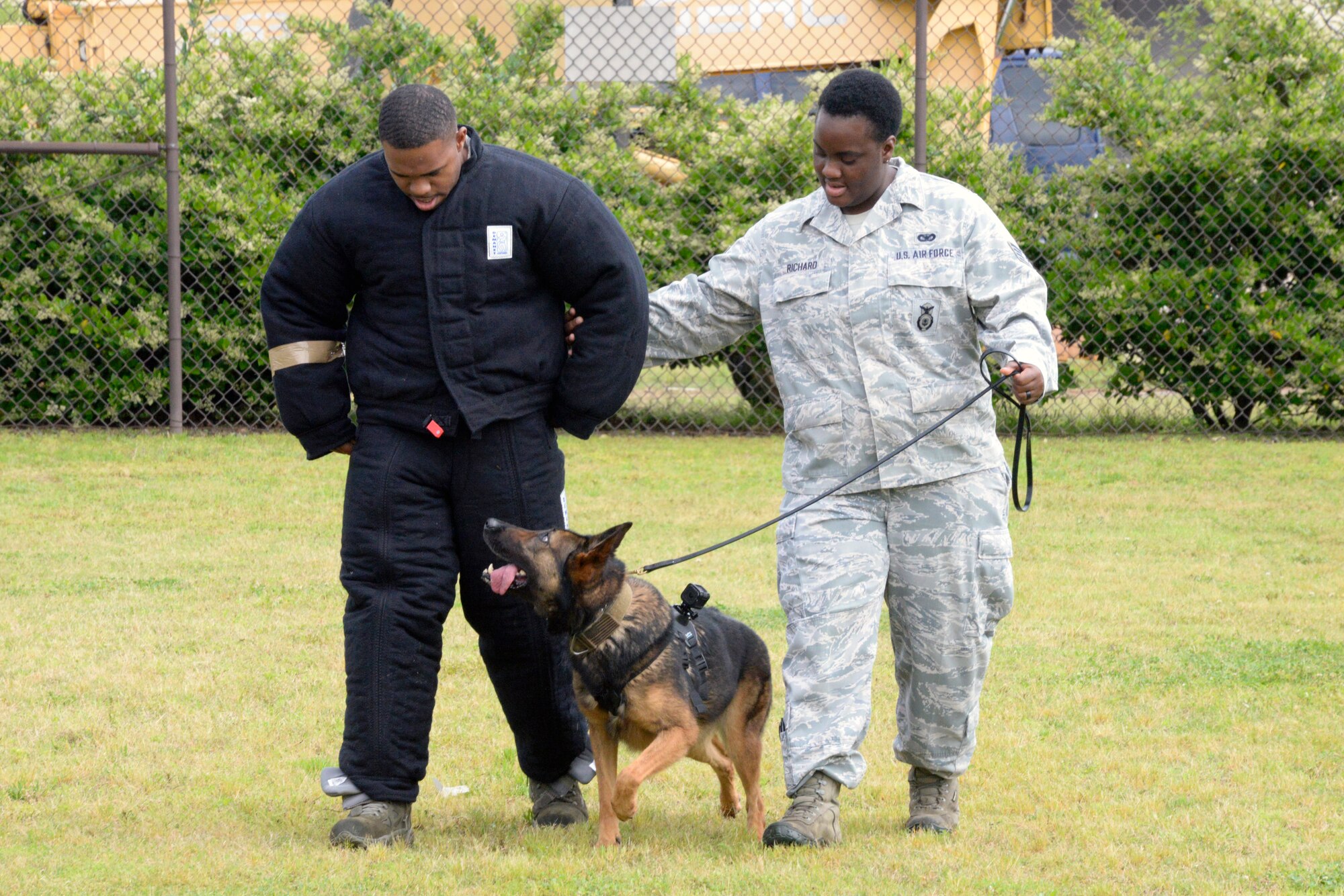 Senior Airman Myron McIntosh and Staff Sgt. Sansha Richard, Military Working Dog handlers, demonstrate how focused a MWD is while assisting their handlers in a hostile situation, April 21, 2016. Military Working Dogs are uses for a wide variety of jobs including bomb detection and search and rescue. (U.S. Air Force photo/Senior Airman Tammie Ramsouer)