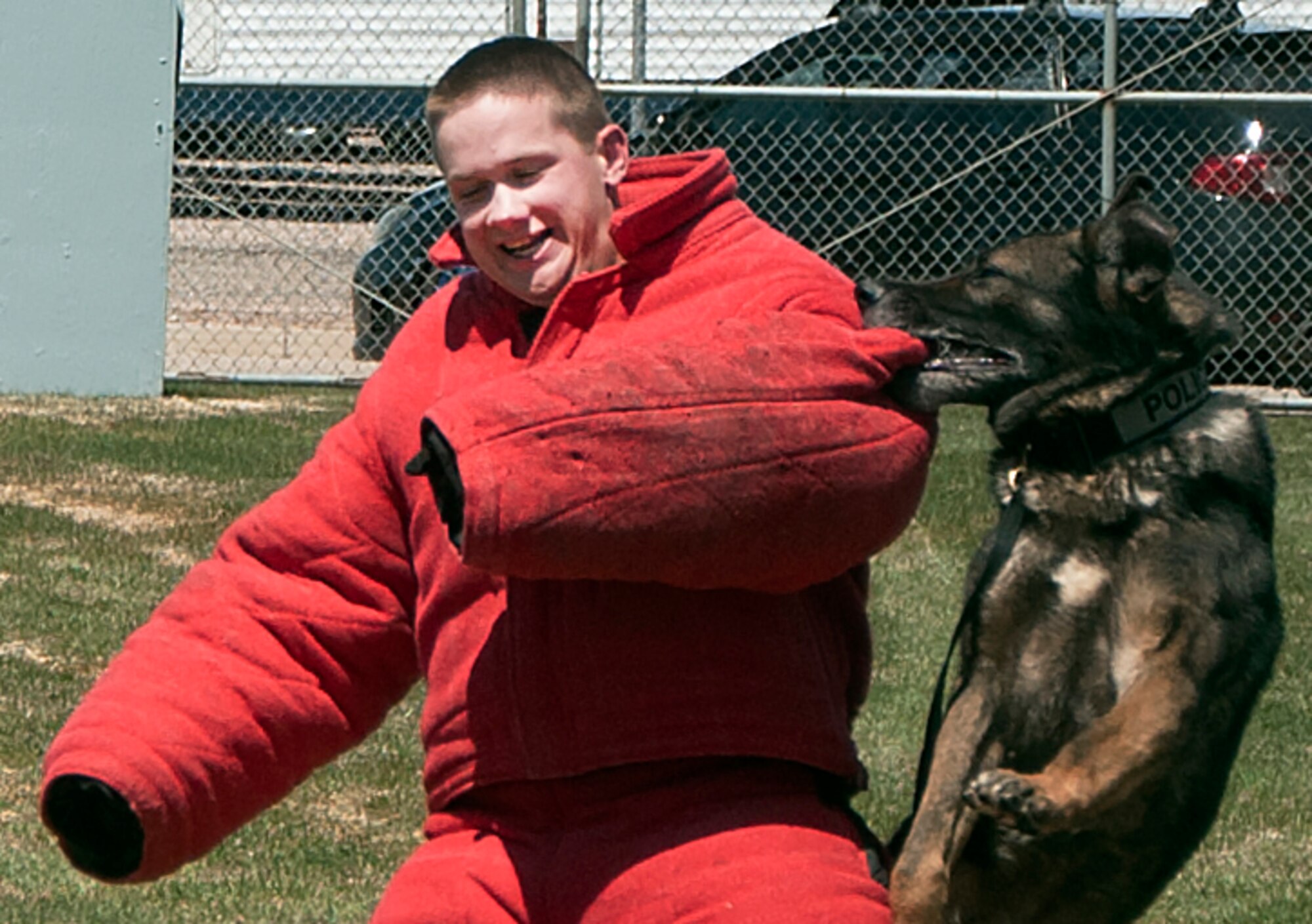 Ollie, 90th Security Forces Group Military Working Dog, bites the arm of Senior Airman Christopher Alexander, 90th SFG MWD trainer, during a demonstration in the MWD training yard May 2, 2016. The pair showcased the training of working dogs to the spouses and children of Mighty Ninety Airmen. (U.S. Air Force photo by Senior Airman Brandon Valle)