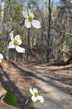 The trails are known for their beauty.