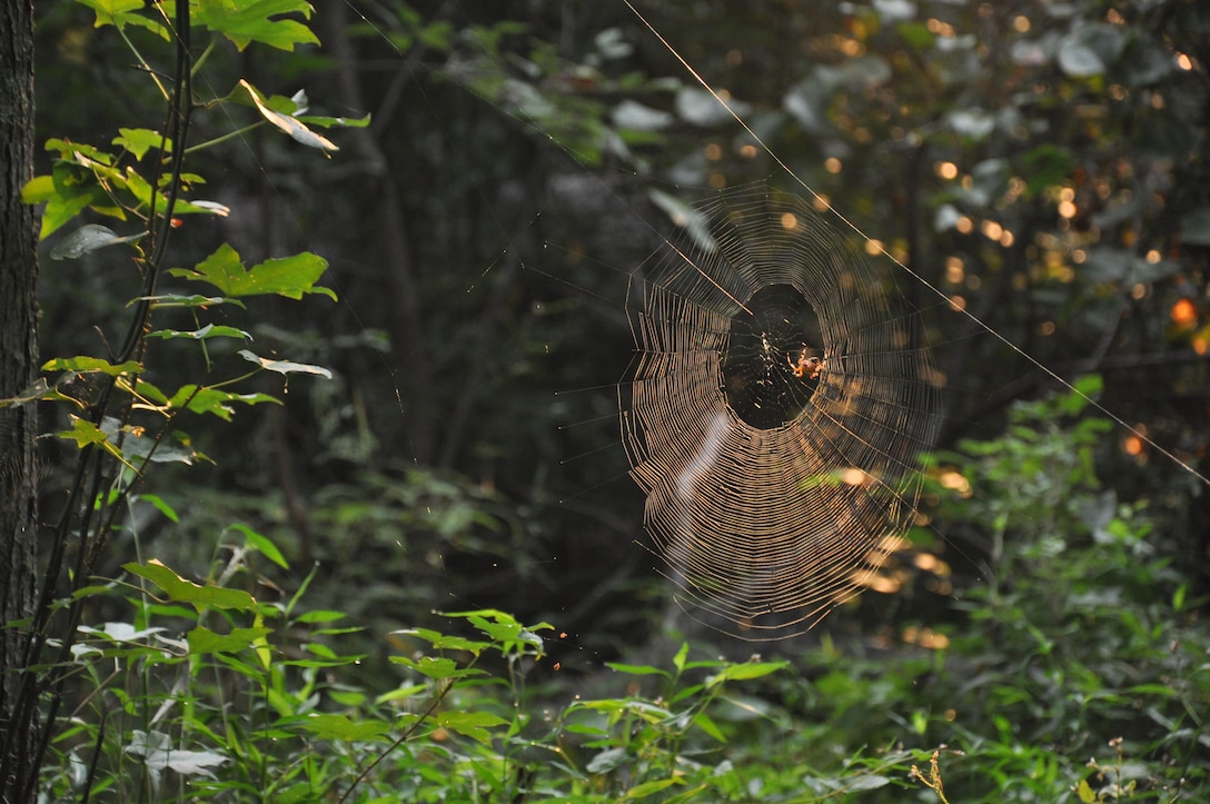 On the trails, nature can be seen at work.