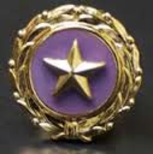 The Gold Star Lapel Pin 