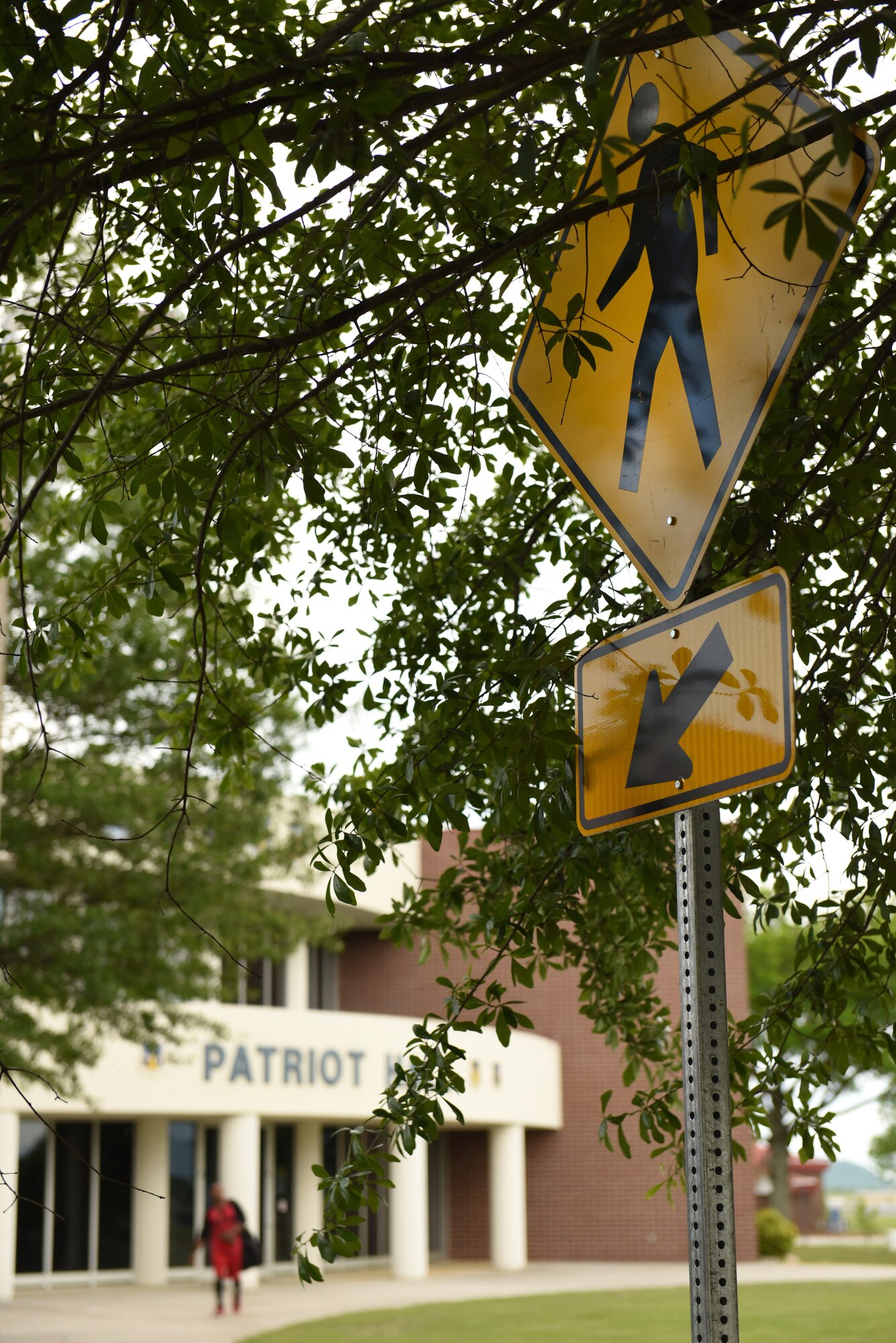 MCGHEE TYSON AIR NATIONAL GUARD BASE, Tenn. - Tree branches grow past a crosswalk sign here May 6, 2016, in the parking lot outside Patriot Hall at the I.G. Brown Training and Education Center. (U.S. Air National Guard photo by Master Sgt. Mike R. Smith/Released) 