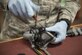 U.S. Air Force Staff Sgt. Jonathan McCullough, an 8th Operations Support Squadron aircrew flight equipment (AFE) journeyman assigned to Kunsan Air Base, Republic of Korea, performs maintenance on an oxygen mask, May 2, 2016, at Eielson Air Force Base, Alaska. AFE technicians must perform extensive work on each piece of equipment to ensure maximum safety for pilots. (U.S. Air Force photo by Staff Sgt. Ashley Nicole Taylor/Released)