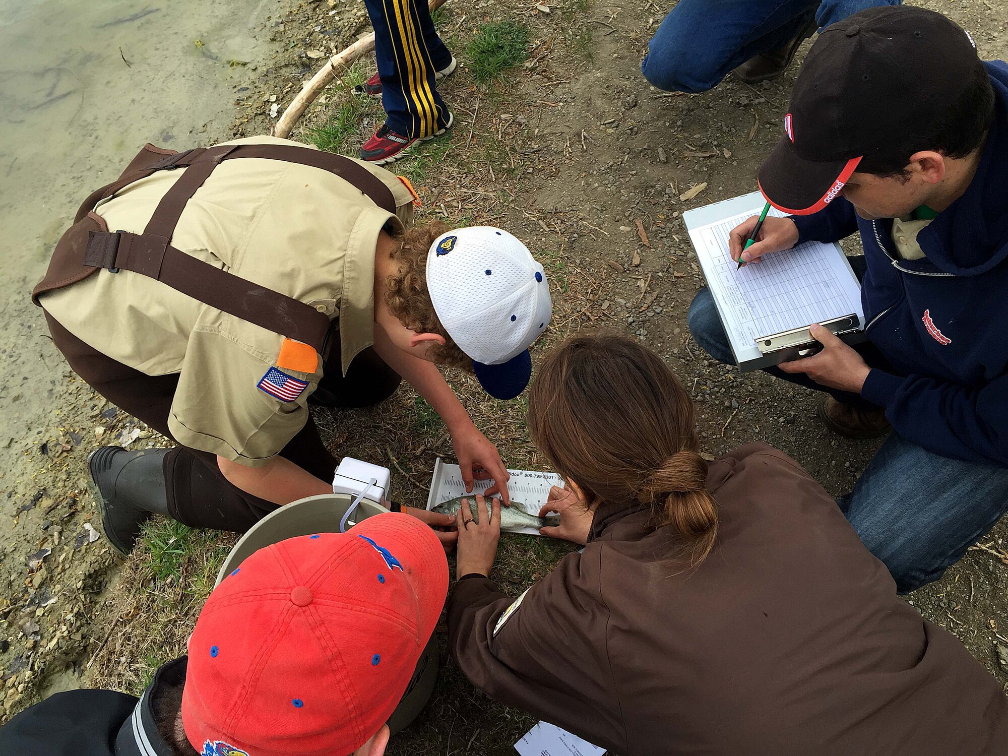 Laura Mendenhall, 22nd Civil Engineer Squadron U.S. Fish and Wildlife Service biologist, bottom right, measures a bass with the help of Boy Scout Troop 364, April 16, 2016, at McConnell Air Force Base, Kan. The troop helped Mendenhall capture bass at the base pond as part of a fish growth and habitat study. (Courtesy photo)