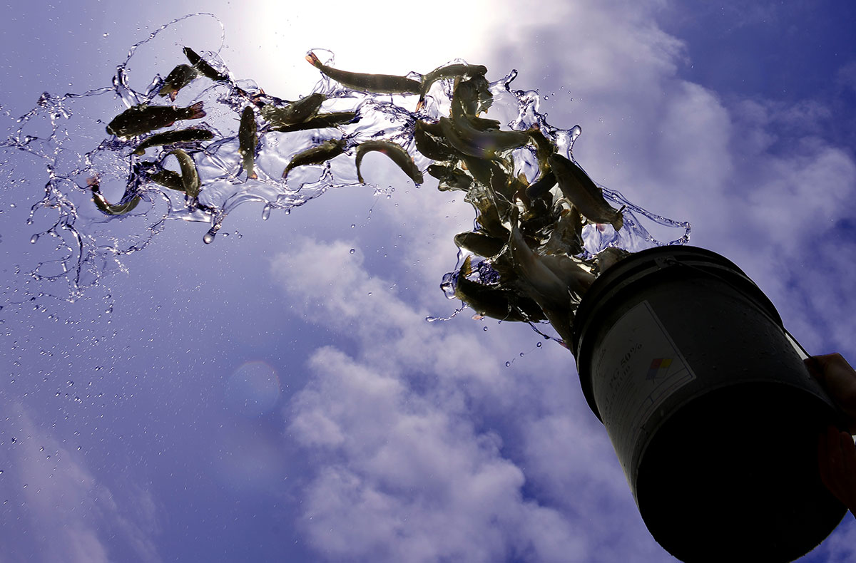 Fishing season has started and JBER lakes are filling up > Joint Base