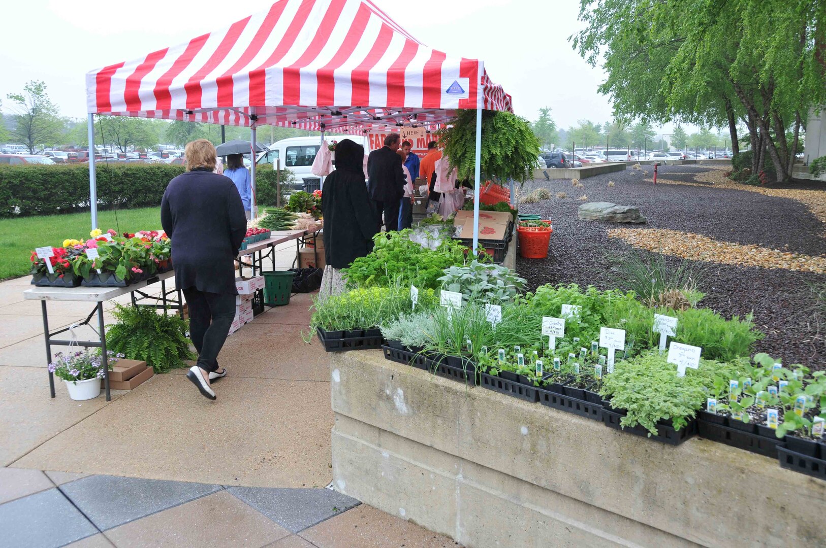 Despite the wet weather, HQC employees flock to purchase produce and plants at the kickoff of DLA's farmers' market, May 11.

