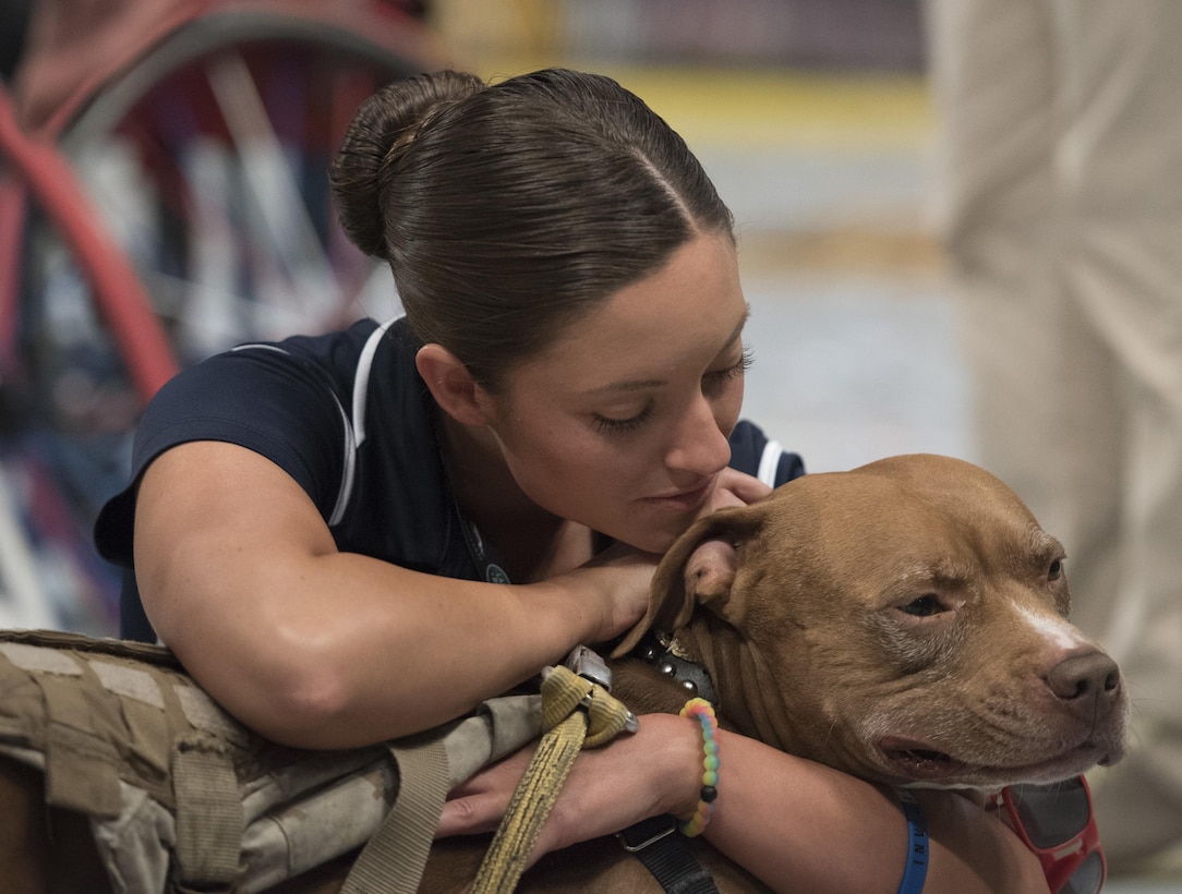 Army Sgt. Elizabeth Marks pets Bugsy, a military working dog, while U.S. wheelchair basketball team members celebrate their gold medal win at the 2016 Invictus Games in Orlando, Fla., May 12, 2016. DoD photo by Roger Wollenberg