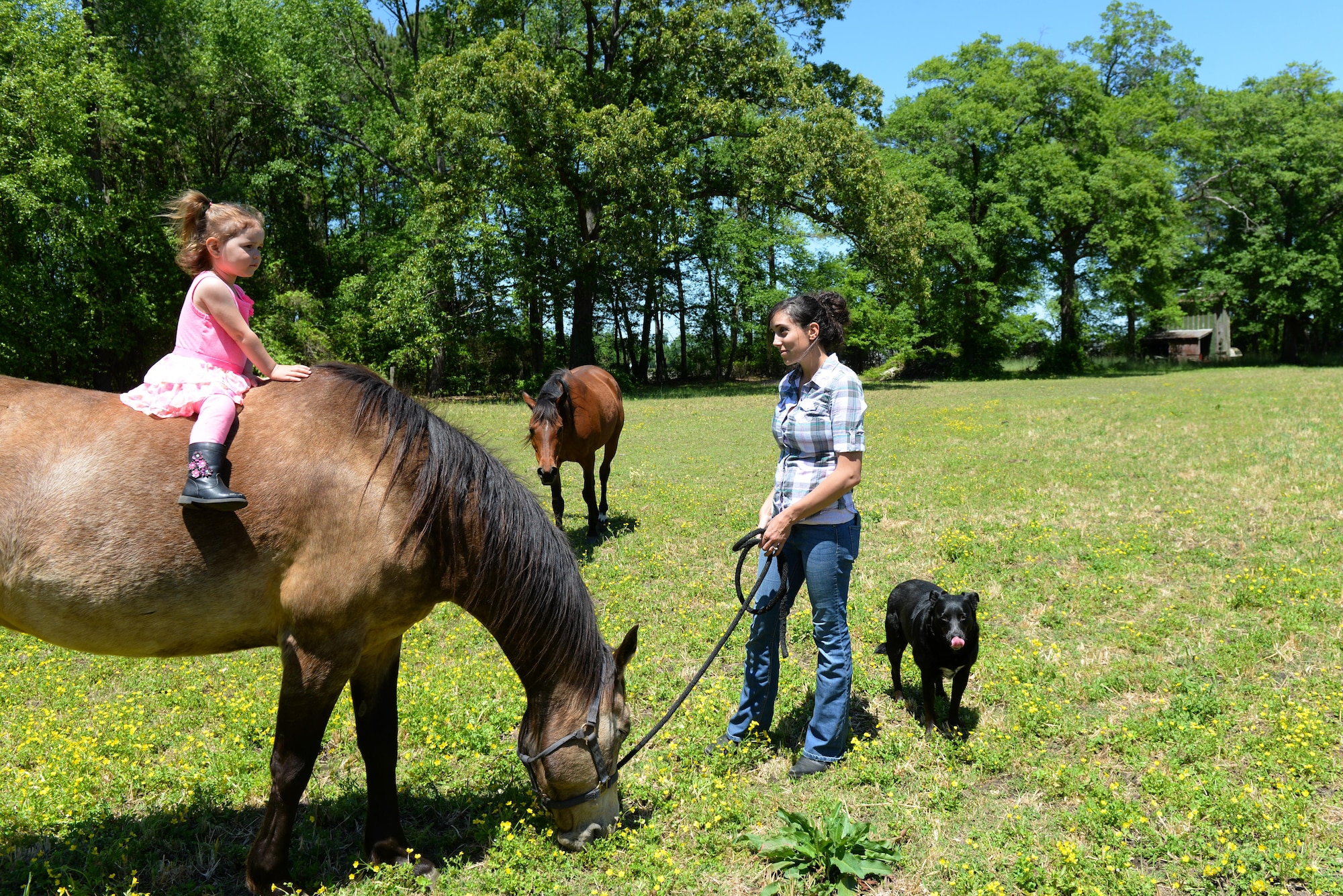 Staff Sgt. Katrina Rubisch, 4th Equipment Maintenance Squadron aircraft armament systems technician, socializes with her child and horses, March 24, 2016, in Goldsboro, North Carolina. Rubisch often brings her child to the stables to share her love of horses with her child. (U.S. Air Force photo by Airman 1st Class Ashley Williamson/Released)