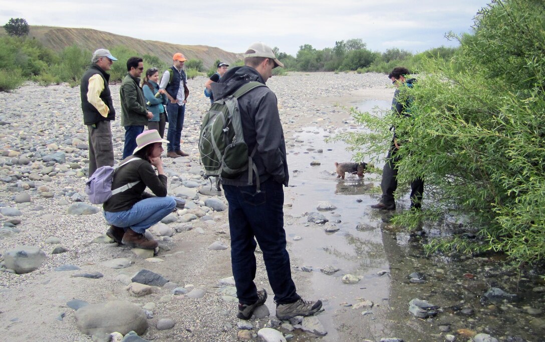 Members of South Yuba River Citizens League and the U.S. Army Corps of Engineers Sacramento District’s Yuba River Ecosystem Restoration Study team confer during a May 5 tour of SYRCL restoration work at Hammon Bar on the Yuba River.