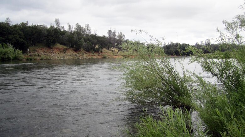 Downstream view of the Yuba River from Hammon Bar, noting erosion on the far bank. The Yuba River ecosystem was greatly affected by the California gold rush of the 1800s.