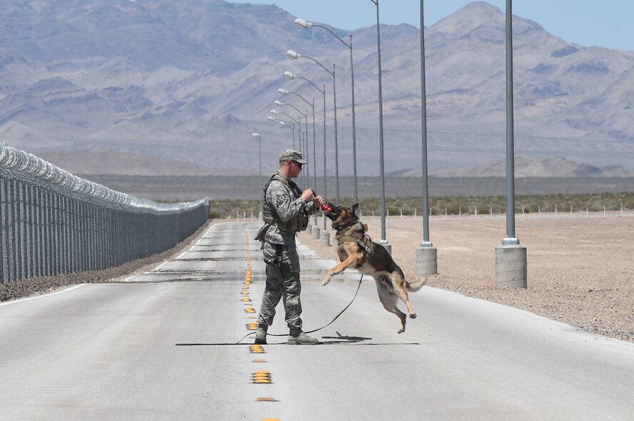 Staff Sgt. John, 799th Security Forces Squadron military working dog handler (MWD) and MWD Toby take a break after successfully detecting contraband during a training exercise May 11, 2016, at Creech Air Force Base, Nevada. On August 31, 1949, Secretary of Defense Louis Johnson announced the creation of an Armed Forces Day to replace separate Army, Navy, Marine Corps and Air Force Days.  (U.S. Air Force photo by Senior Airman Adarius Petty/Released)