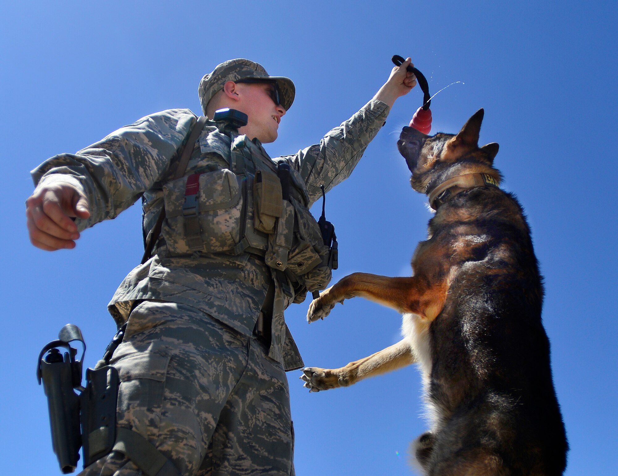 Staff Sgt. John, 799th Security Forces Squadron military working dog handler and MWD Toby take a break after successfully detecting contraband during a training exercise May 11, 2016, at Creech Air Force Base, Nevada. President Harry S. Truman led the effort to establish a single holiday for citizens to come together and thank our military members for their patriotic service in support of our country. (U.S. Air Force photo by Senior Airman Christian Clausen/Released)