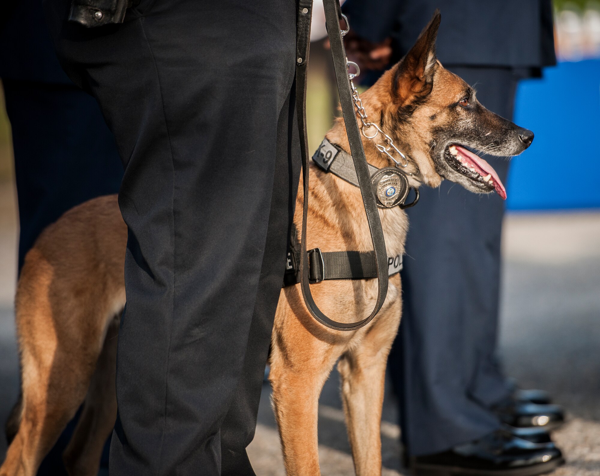 A K-9 and his handler stand by during the Peace Officers’ Memorial Ceremony May 16 in Fort Walton Beach, Fla.  The ceremony was to honor fallen police officers from the previous year by reading their names aloud.  Security forces Airmen from Eglin and Hurlburt Field attended and participated in the event.  The ceremony is one of many events taking place during National Police Week.  (U.S. Air Force photo/Samuel King Jr.)