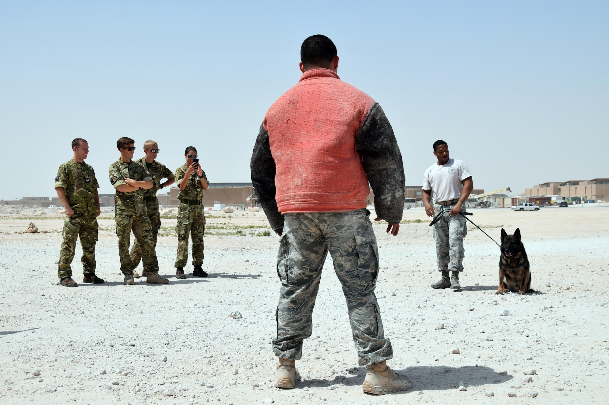 Staff Sgt. Jahmal Hardy(right), 379th Expeditionary Security Forces K-9 handler, works with his military working dog Nero during a training exercise at Al Udeid Air Base, Qatar May 7, 2016. Staff Sgt. Michael Peralez (center), also a K-9 cop from the 379th, portrayed a person of interest during the exercise. Members of the Royal Air Force Regiment later put on the protective jacket and experienced getting bit.  (U.S. Air Force photo by Technical Sgt. Carlos J. Trevino/Released)