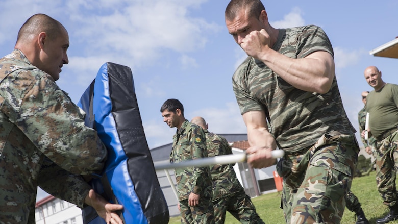 A Bulgarian soldier strikes a bag with his baton while training in a non-lethal weapons class during exercise Platinum Wolf 2016 at Peacekeeping Operations  Training Center South Base in Bujanovac, Serbia, May 13, 2016. Seven countries including Bosnia, Bulgaria, Macedonia, Montenegro, Slovenia, Serbia, and the United States joined together to conduct peacekeeping operations and non-lethal weapons training over the course of two weeks. 