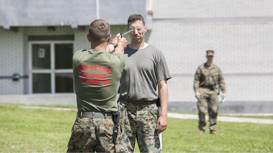 Sgt. Martin Belden, a non-lethal weapons instructor with 4th Law Enforcement Battalion, Force Headquarters Group, Marine Forces Reserve, sprays a Bosnian soldier with oleoresin capsicum, during a non-lethal weapons course at exercise Platinum Wolf 2016 aboard Peacekeeping Operations Training Center South Base in Bujanovac, Serbia, May 13, 2016. Seven countries including Bosnia, Bulgaria, Macedonia, Montenegro, Slovenia, Serbia, and the United States joined together to practice peacekeeping operations and improve their abilities to work together. 