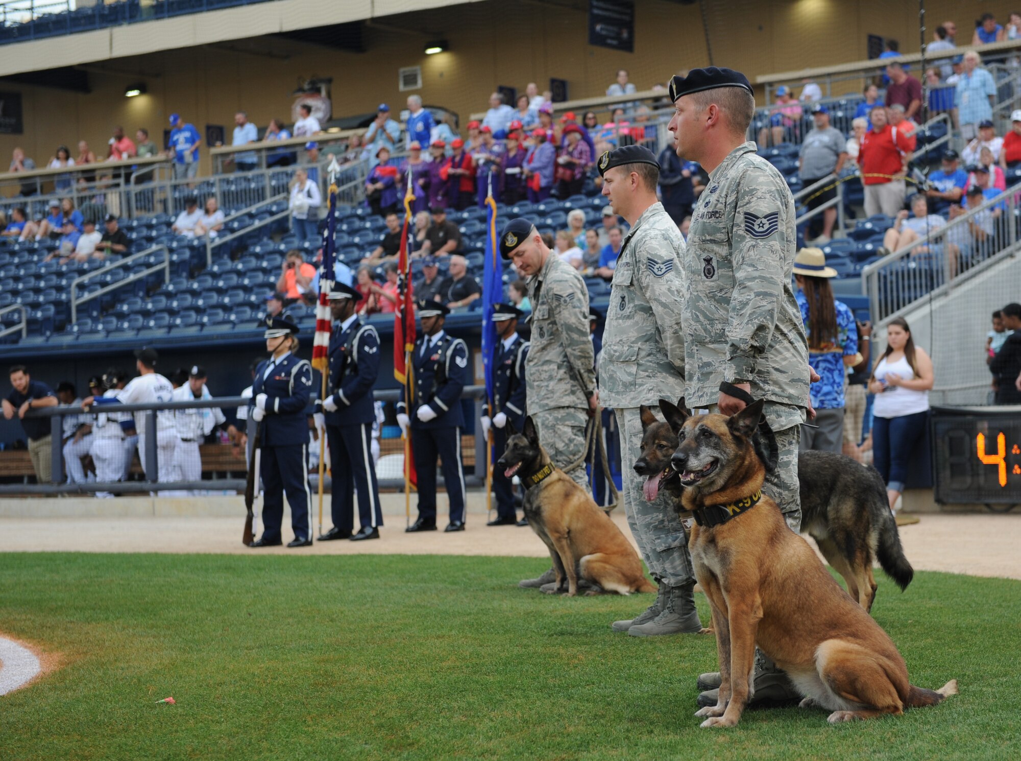 The Keesler Honor Guard, 81st Security Forces Squadron military working dog handlers and their military working dogs participate in the Biloxi Shuckers Minor League Baseball team’s pre-game ceremony at MGM Park May 9, 2016. The “Bark in the Park” themed baseball game invited fans to sit in the outfield seating area with their dogs. (U.S. Air Force photo by Kemberly Groue)