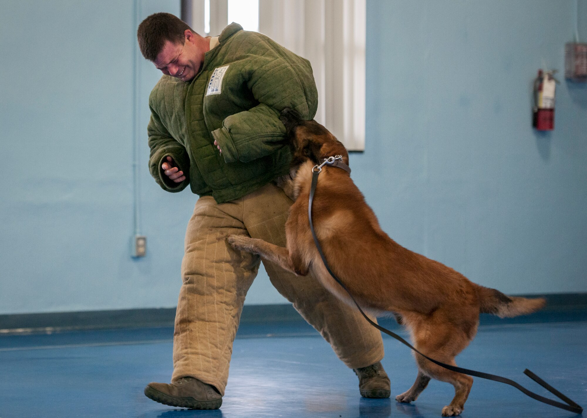 Staff Sgt. Brandon Hardy tries to get away from Rex, a 96th Security Forces Squadron military working dog, during a demonstration for Eglin Elementary School kids May 17 at Eglin Air Force Base, Fla.  The event was in celebration of National Police Week.  More than 100 children watched two MWD teams perform obedience and attack displays.  (U.S. Air Force photo/Samuel King Jr.)