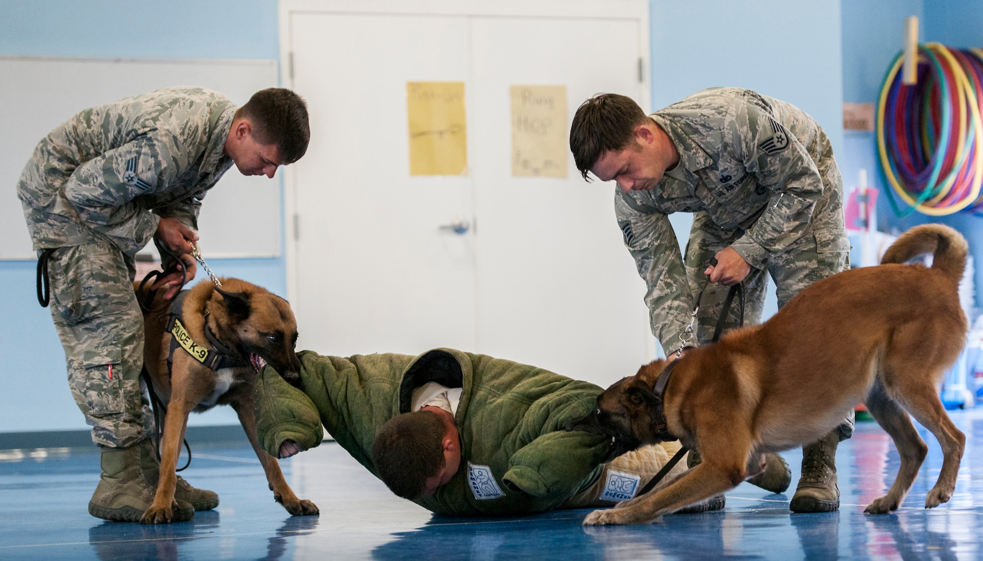 Arko and Rex, two 96th Security Forces Squadron military working dogs, make sure the bad guy is “grounded” during a demonstration for Eglin Elementary School kids May 17 at Eglin Air Force Base, Fla.  The event was in celebration of National Police Week.  More than 100 children watched two MWD teams perform obedience and attack displays.  (U.S. Air Force photo/Samuel King Jr.)